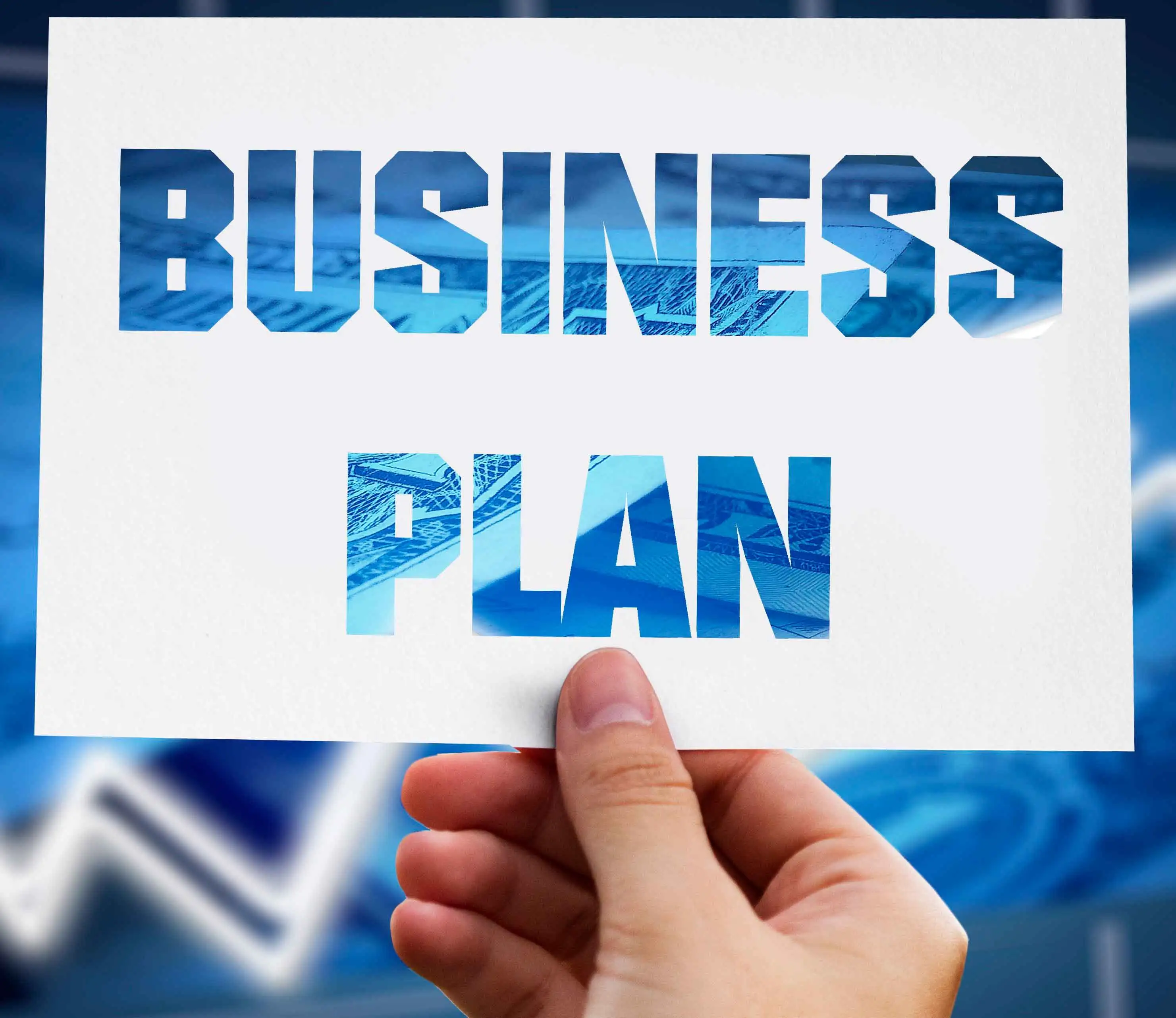 Business plan Diamond Hotel Management
